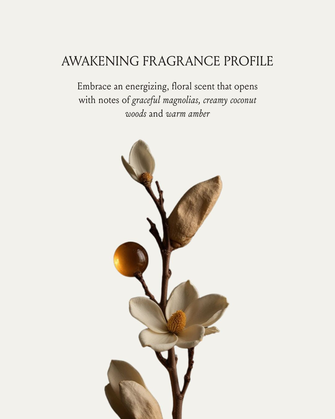 Awakening Body Oil
