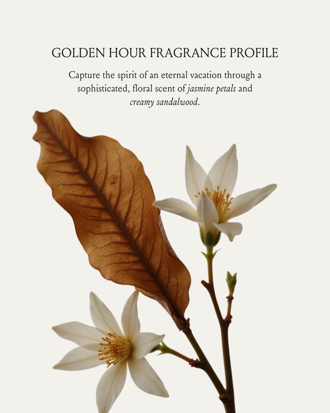 Golden Hour Glow Body Oil