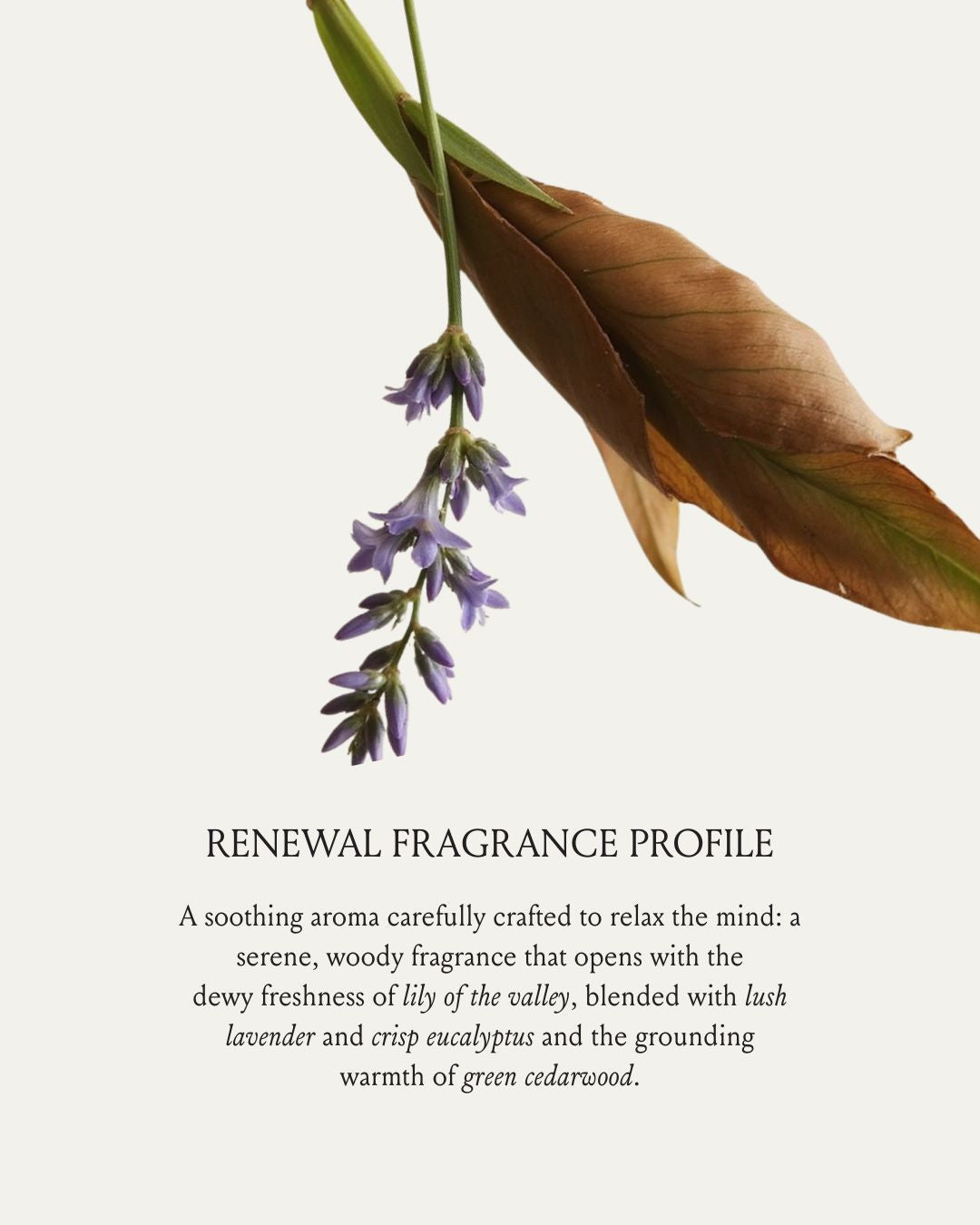 Renewal Hair and Body Oil