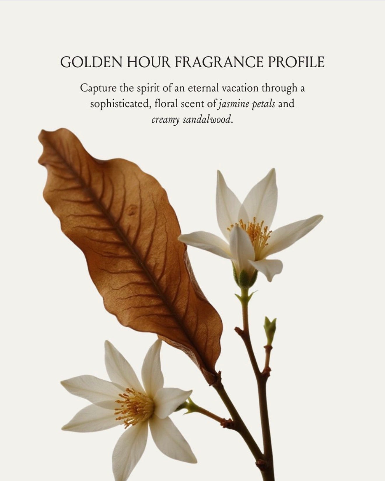 Pearl Glow Body Oil