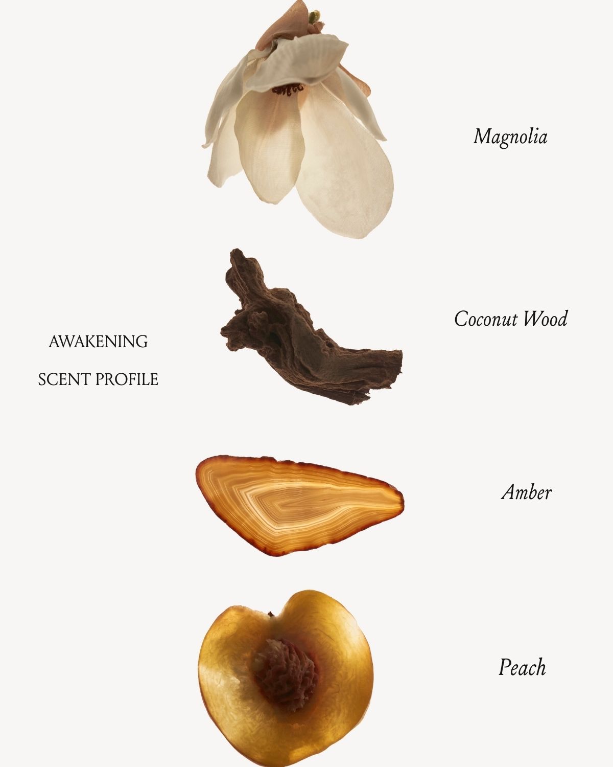 Awakening Body Lotion